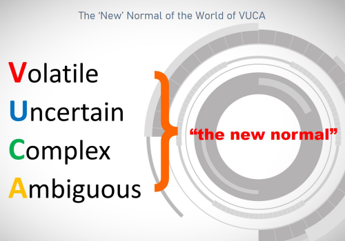 The 4 Elements of VUCA - PNG
