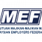 T-MEF