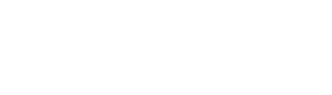palm14-logo
